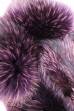Енотовидная собака китайская крашеная Фиолетовая