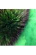 Енотовидная собака китайская крашеная Зеленая + Black Top