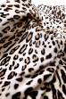  Пластина ламы-голяк "Леопард на белом"